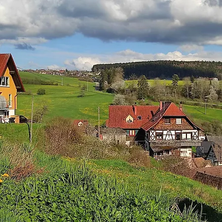 בית נופש Mega Ferienhaus Im Schwarzwald