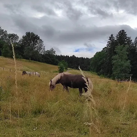 Mega Ferienhaus Im Schwarzwald Glatten