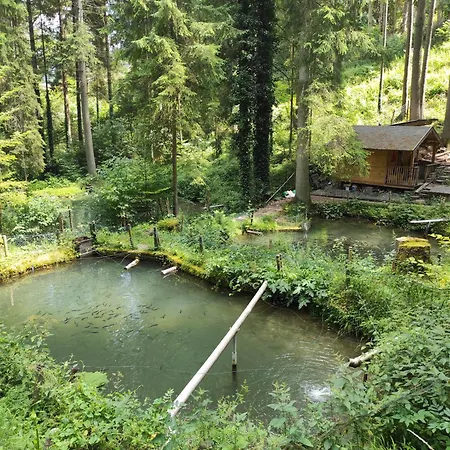 Mega Ferienhaus Im Schwarzwald * Glatten
