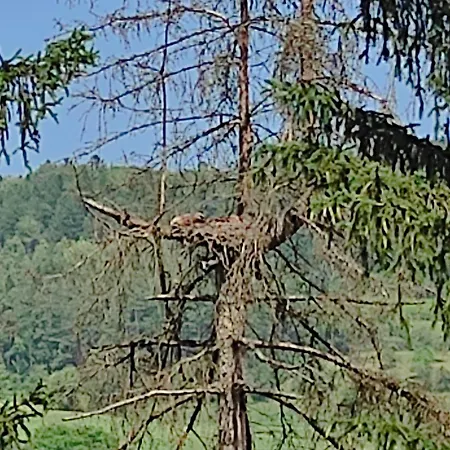 Mega Ferienhaus Im Schwarzwald בית נופש *